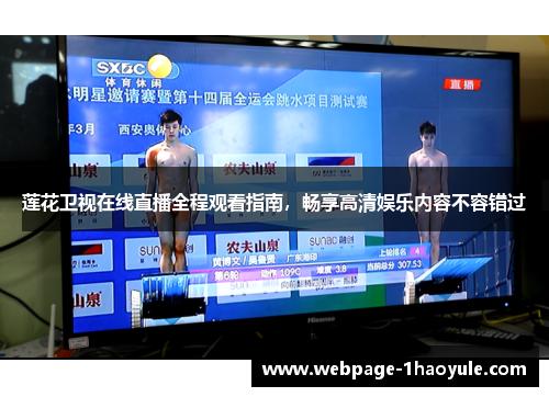 莲花卫视在线直播全程观看指南，畅享高清娱乐内容不容错过